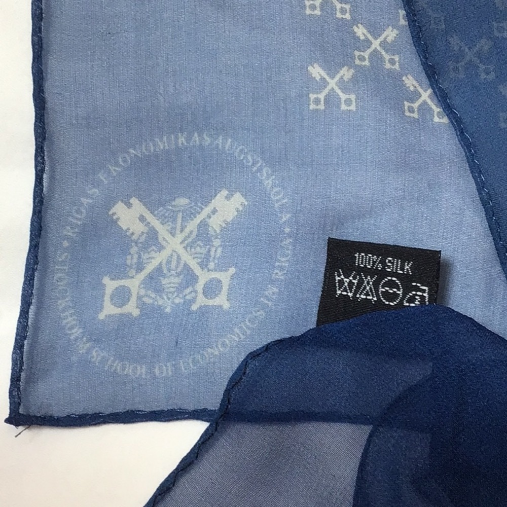 🇸🇪 Rica Sweden Blue Silk Chiffon Oblong Scarf - Picture 2 of 9